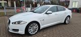 Jaguar Xf 3.0d V6 - Jaguar XF in Hamburg