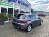 Seat Leon FR - Seat aus 2017