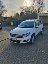 Volkswagen Tiguan 2.0 TSI, 147kW, US Re-Import - : Import