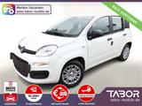 Fiat Panda MHEV 5"-DAB 5-Sitzer PDC DigCo UVP-30%* - Fiat Panda: Sitzer