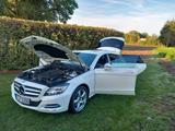 Mercedes-Benz CLS 350 Shooting Brake - - Mercedes-Benz CLS 350 Shooting Brake Benziner Gebrauchtwagen