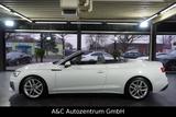 Audi A5 Cabriolet 40 TDI Quattro S-line - Audi A5 in Saarbrücken