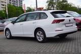 Volkswagen Golf VIII Variant 1.0 Life LED Navi ACC DAB PDC - Volkswagen Golf: Vi Variant