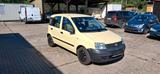 Fiat Panda ( Biite den Text lesen) ! - Fiat Panda: De