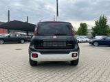 Fiat Panda Pandina Cross 1.0 Hybrid *Klima DAB NS PDC - Fiat Panda New cars