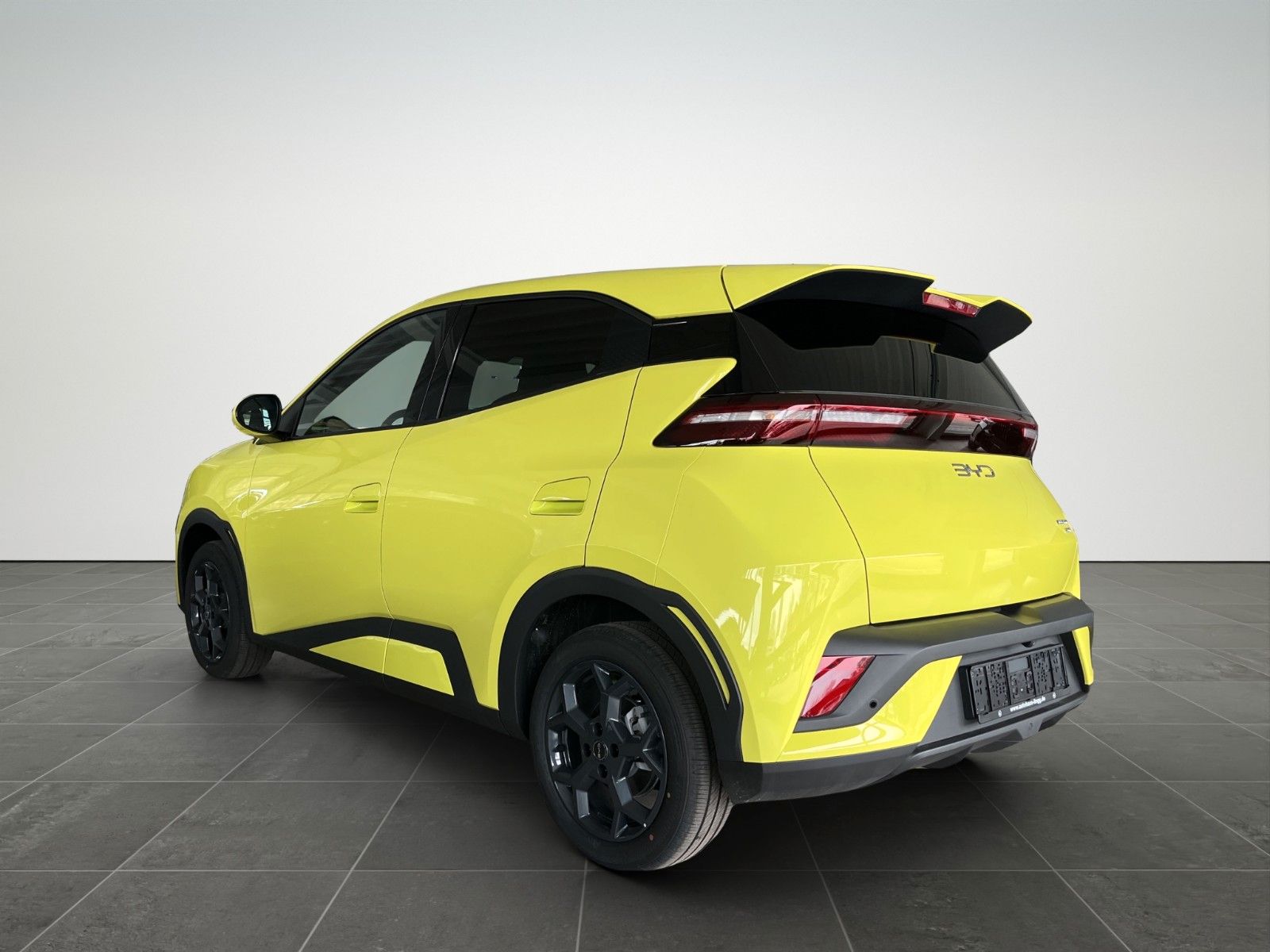 BYD DOLPHIN SURF