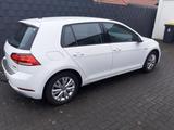 Volkswagen Golf 1.5 TGI CNG & Benzin BlueMot. Comfortlin... - Volkswagen Golf: Tgi