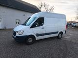 Hyundai H-350 - Hyundai LKWs