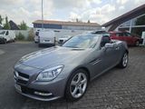 Mercedes-Benz SLK 200 COMAND BIXE Airscraft - Mercedes-Benz SLK 200: Leder