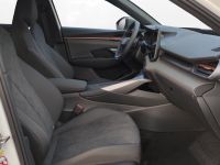 Cupra Terramar - Vorschau Bild 10