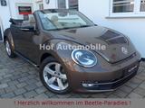 Volkswagen Beetle 1.4TSI Sport Leder Xenon Navi 1.Hand - VW Beetle Gebrauchtwagen in Frankfurt