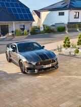 Ford Mustang Performance Shelby GT - Ford Mustang: Performance