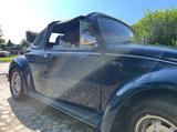 Volkswagen Käfer Cabrio Umbau (Bieber Borken)  - Volkswagen Käfer: Umbau