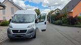 Fiat Ducato - Fiat Gebrauchtwagen in Wiesbaden