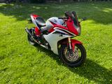 Honda CBR 600 F PC41 - HONDA CB600F