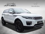 Land Rover RR Evoque 2.0 TD4 SE AWD PANO BI-XENON NAVI RFK - Land Rover Range Rover Evoque in Wuppertal
