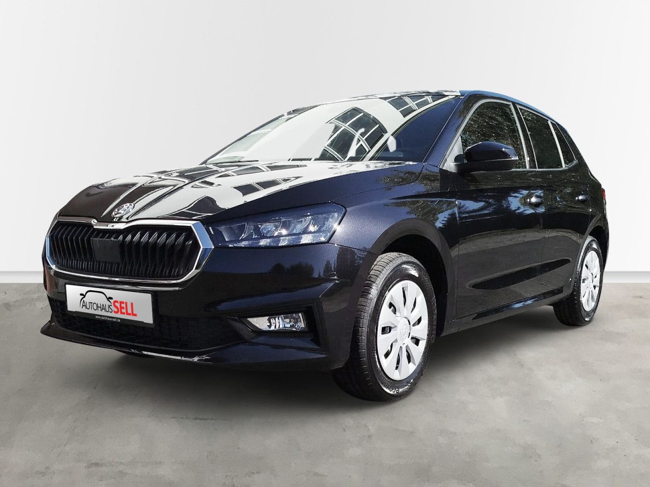 Fahrzeugabbildung SKODA Fabia Selection