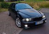 BMW E39 525D M- Paket Schalter - BMW 525: 525d E39