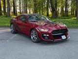 Ford Mustang 5.0 Ti-VCT V8 GT Auto GT 6Spd - Ford Mustang: V6