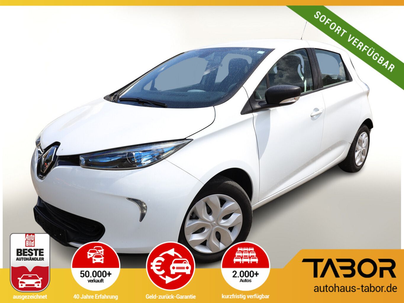 Renault Zoe R90 Life Kaufbatterie Nav Klimaaut Tempomat