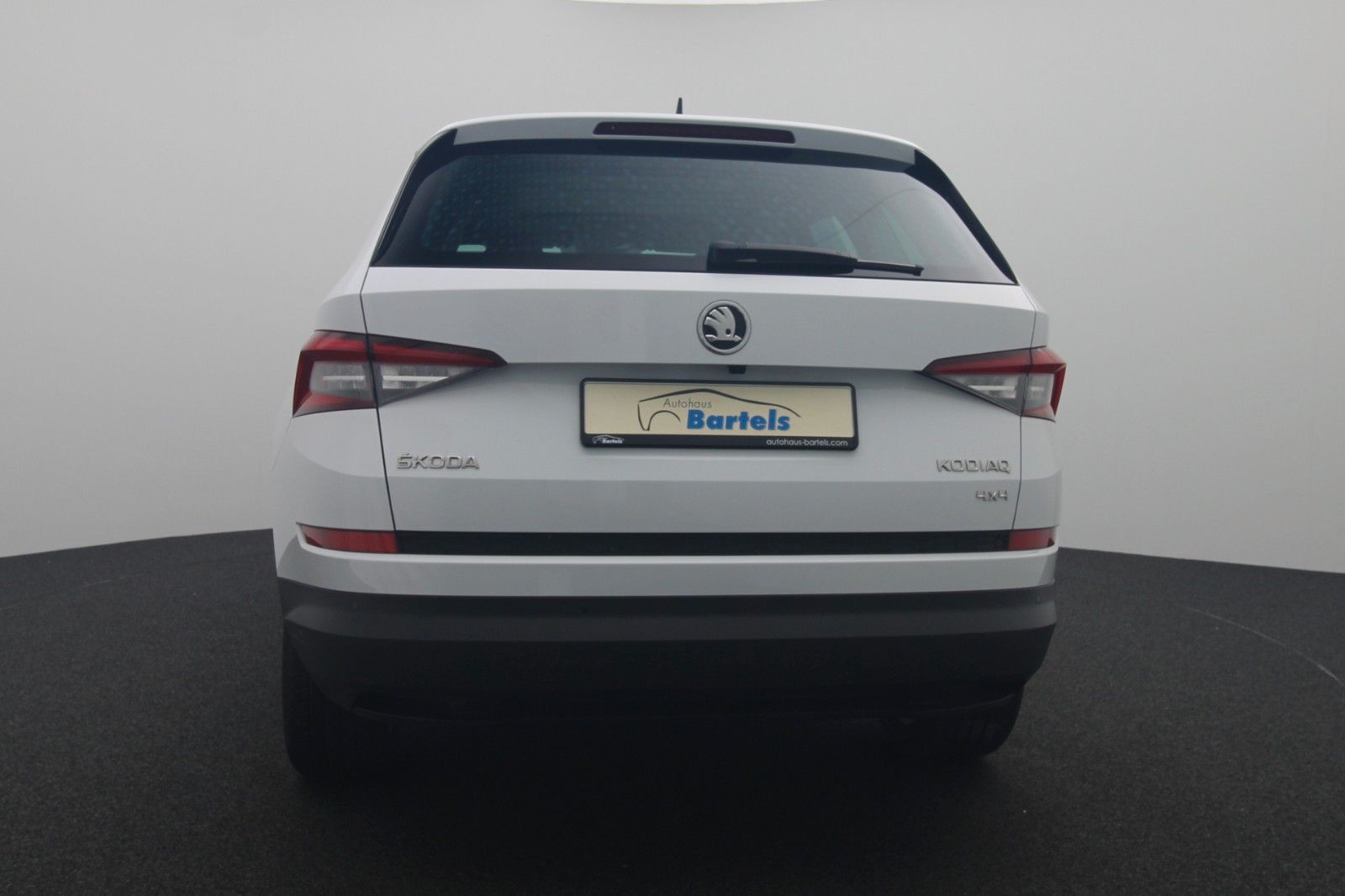 Fahrzeugabbildung SKODA Kodiaq Style 4x4 DSG AHK Panorama Kamera19"