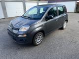 Fiat FIAT NEW PANDA EASY KLIMA 1.Hand orig. 42t... - Fiat New Panda von privat
