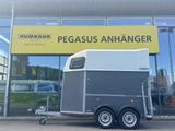 Böckmann Uno 2-Pferdeanhänger 1,6t Sattelkammer Holz/Poly - Böckmann Gebraucht Pferdeanhänger
