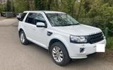 Land Rover Freelander 2 2.2 Td 190cv - weiße Land Rover Freelander