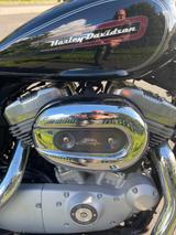 Harley-Davidson XL 883 C Sportster mit Miller Abgasanlage - HARLEY-DAVIDSON 883 SPORTSTER