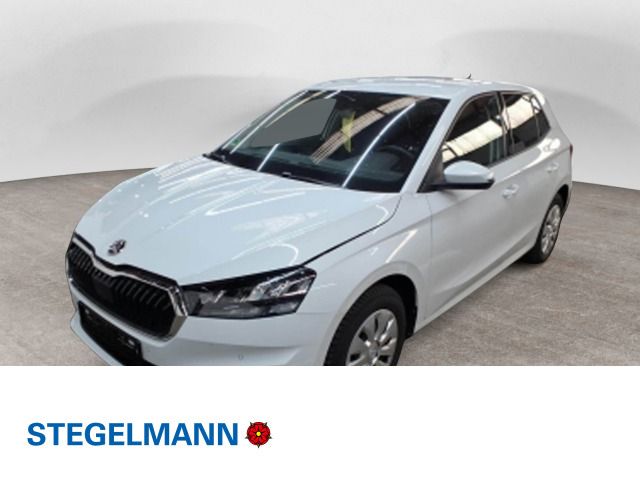 Skoda Fabia 1.0 TSI Selection *LED*Kamera*Smart-Link*