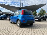 Fiat Panda Neues Modell 1.0 *5 Sitzer Klima PDC DAB* - Fiat Panda: Sitzer