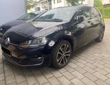 Volkswagen Golf 1.6 TDI LOUNGE - TÜV + große Inspektion NEU - Volkswagen Golf: Gross