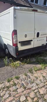 Fiat Ducato Kuhl - Fiat Ducato in Freiburg