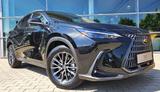 Lexus NX 350h Business Line *Business Connect Paket* - Lexus aus 2024: Nx
