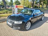 Audi A5 Cabrio 2.0 tfsi neuer Motor AT Austauschmotor - Audi: Austauschmotor