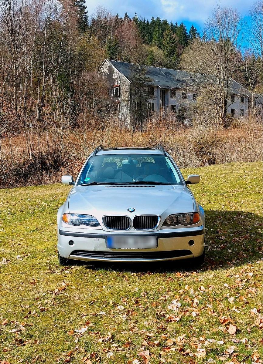 BMW 316 2005 — rear view