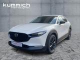 Mazda CX-30 NAGISA Navi PDC - Mazda CX-30: Nagisa