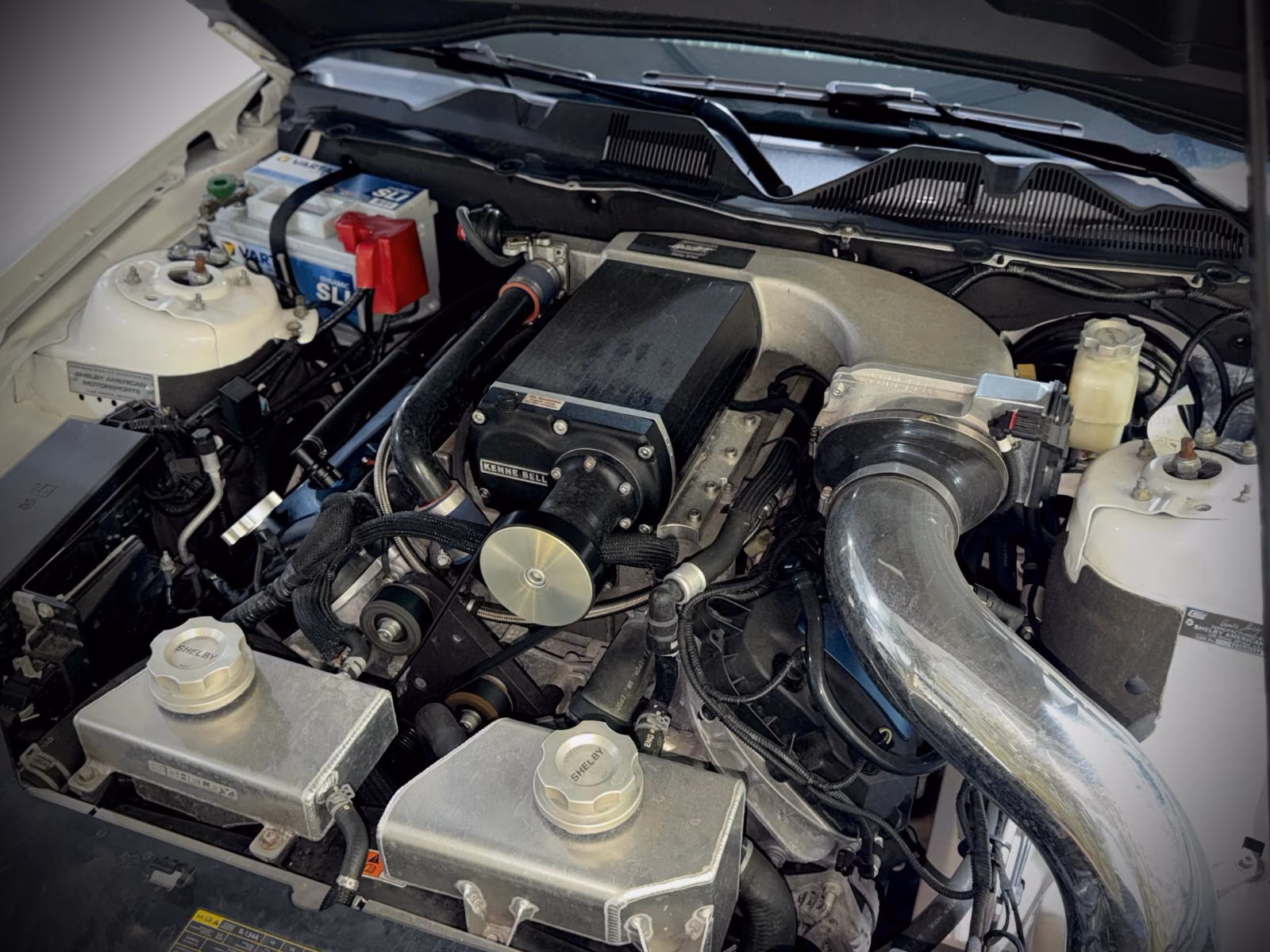 Ford Mustang Shelby American GT 350|624PS|CSM|SAMMLER