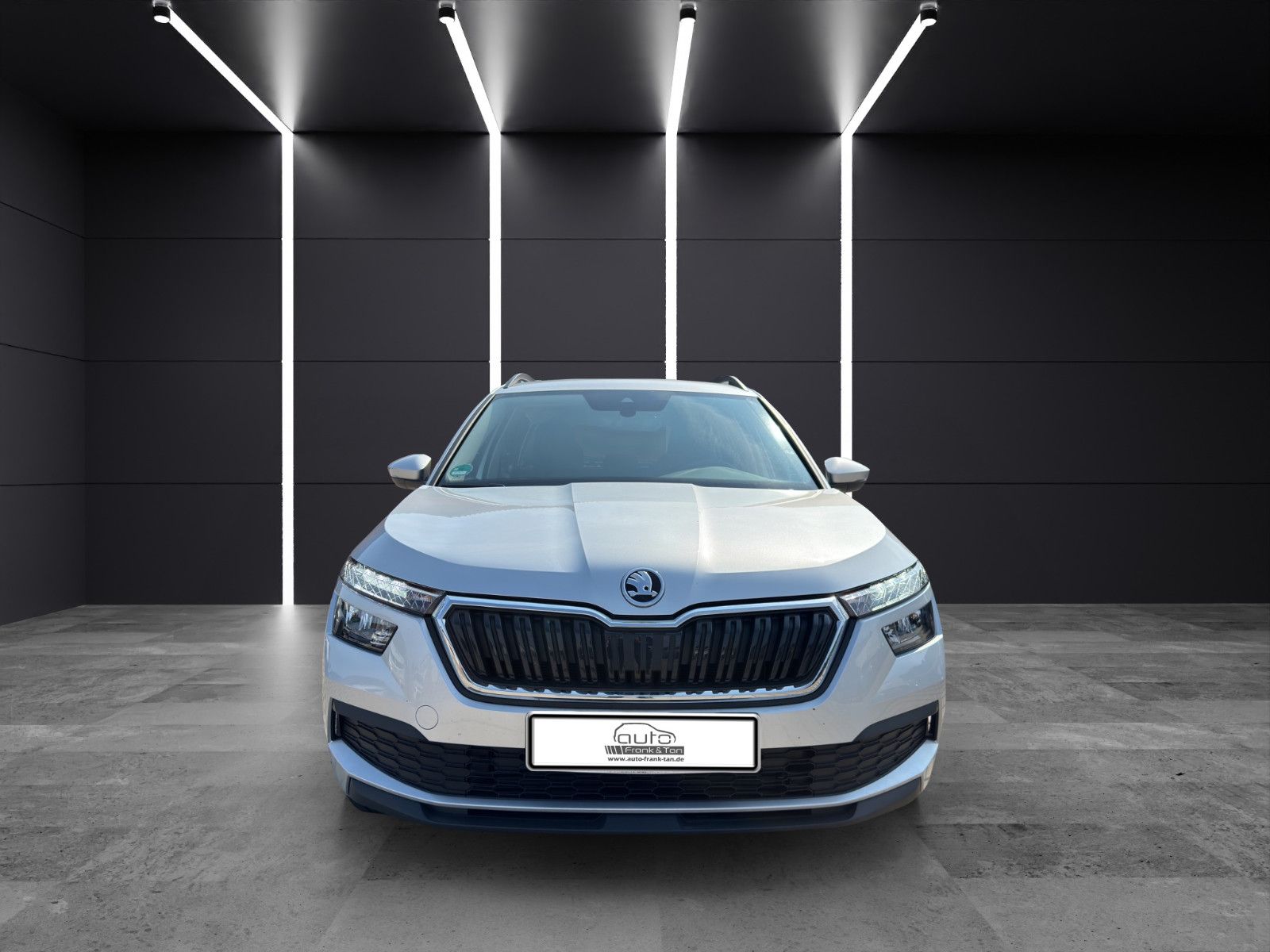 Fahrzeugabbildung SKODA Kamiq Active /Carplay/Pdc/Sitzheitzung/