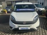 Fiat FIAT Doblo 1.6 MJT 120cv EASY 7 POSTI AZIENDALE - Fiat: Kleinbus, 7 Sitzer