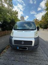 Fiat Pritschenwagen - Fiat Ducato in Wiesbaden