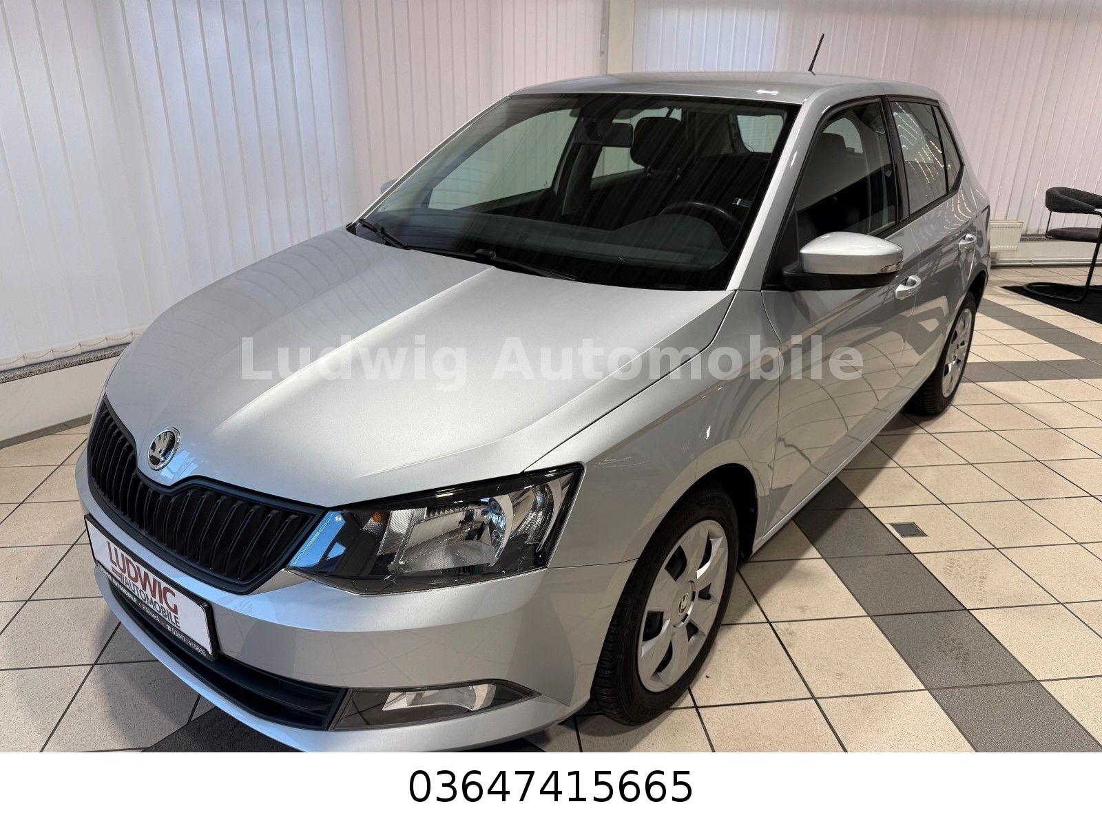 Skoda Fabia Active/ erst 52.747 km