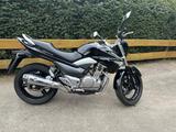 Suzuki Inazuma - Offers matching your search criteria