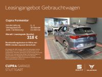 Cupra Formentor - Vorschau Bild 4