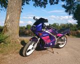 Suzuki GS 500 E TÜV bis 09/25 - SUZUKI T 500