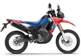 Honda CRF 300 Rally *  Neu *0 Km * Sofort verfügbar * - HONDA CRF300