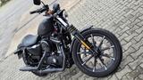 Harley-Davidson Iron 883 luftgekühler Evolution V-Twin Motor V2 - MOTORRAD V2 MOTOR