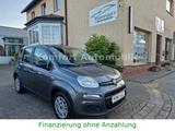 Fiat Panda Easy - gebrauchte Fiat Panda aus dem Jahr 2019