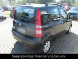Fiat Panda 1.2 8V Dynamic,KLIMA,GARANTIE,SERVO - Fiat Panda aus 2010: Allradantrieb