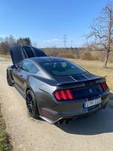 Ford Mustang Shelby GT350 - Ford Mustang: 350gt